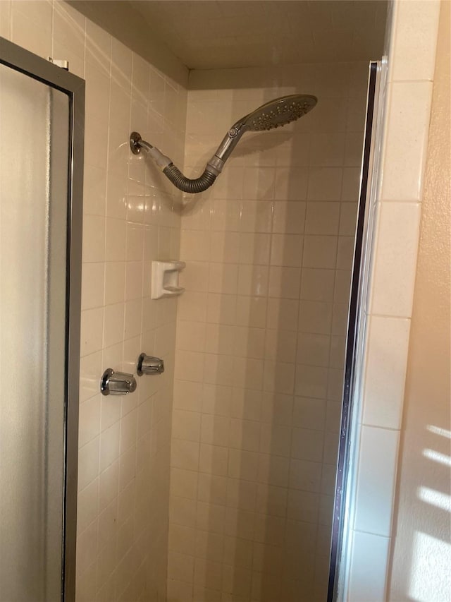 room details with a shower with shower door