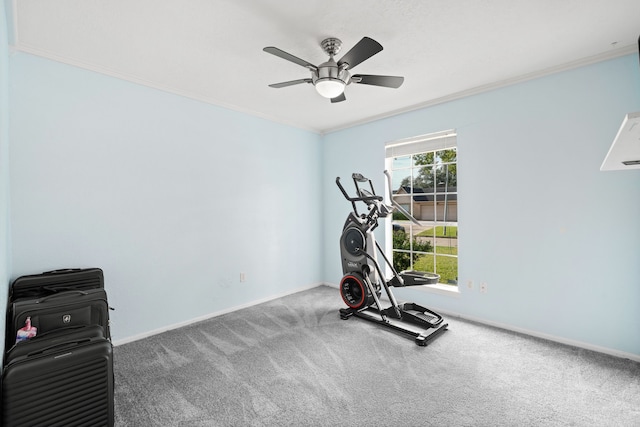 exercise area featuring ceiling fan, carpet floors, and ornamental molding