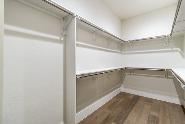 walk in closet with dark wood-type flooring