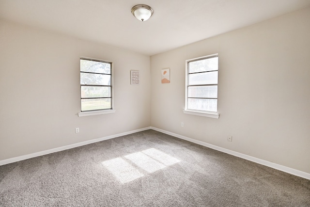 empty room featuring carpet floors