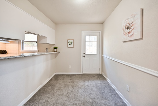 entryway with carpet floors and a wealth of natural light