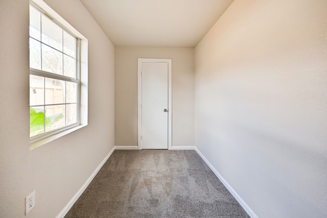 spare room featuring carpet flooring and a wealth of natural light