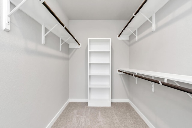 walk in closet with carpet flooring