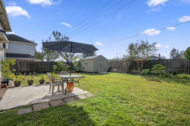 view of yard featuring a patio and a storage unit