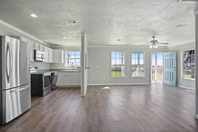 kitchen featuring visible vents, dark wood-type flooring, ceiling fan, stainless steel appliances, and a sink