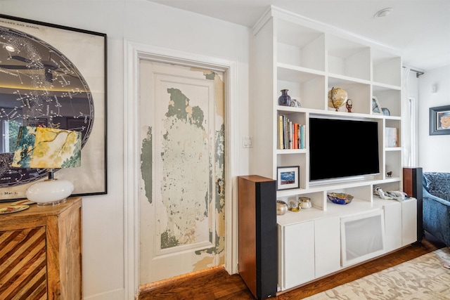 interior space with dark wood-type flooring