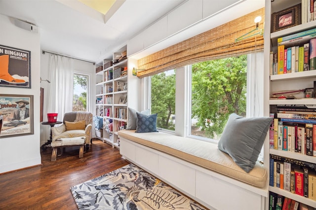 living area with dark wood-type flooring