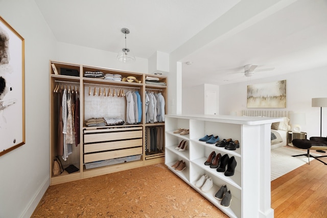 spacious closet featuring ceiling fan and light wood-type flooring