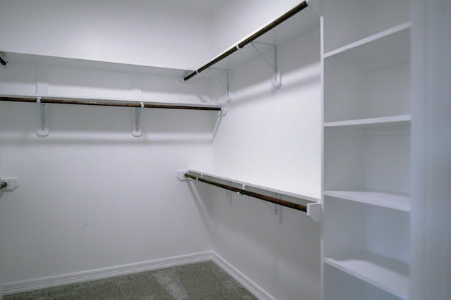 spacious closet featuring carpet flooring