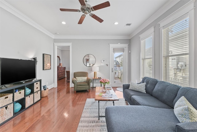 living room featuring hardwood / wood-style floors, ceiling fan, ornamental molding, and a wealth of natural light