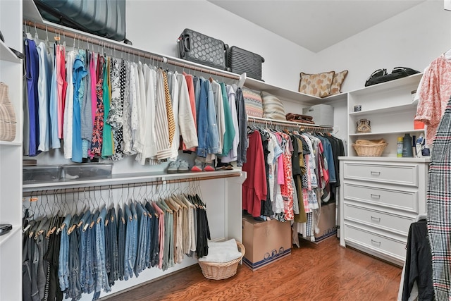 walk in closet with dark hardwood / wood-style floors