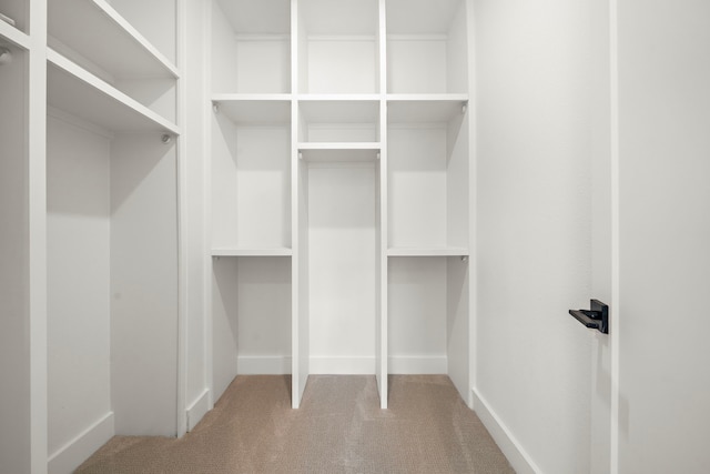 walk in closet with carpet flooring