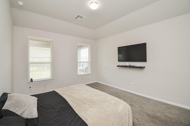 bedroom featuring a raised ceiling and carpet