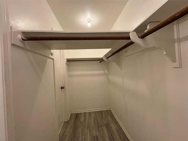 spacious closet featuring dark hardwood / wood-style flooring