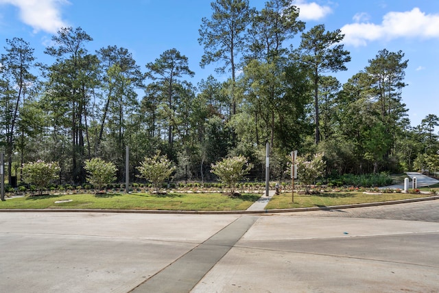 view of street with curbs