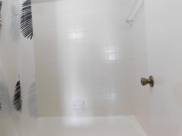 interior details with tiled shower / bath