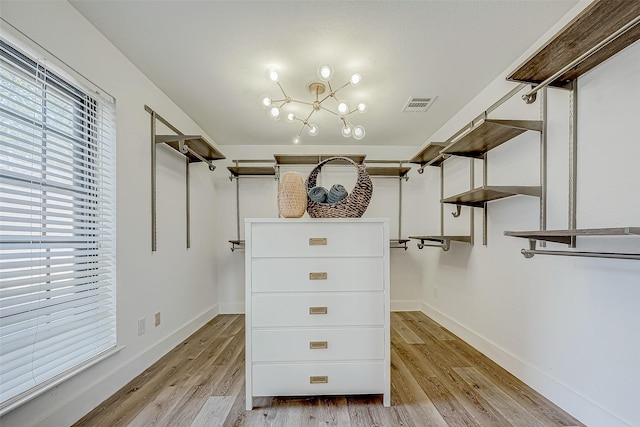 spacious closet featuring light hardwood / wood-style flooring