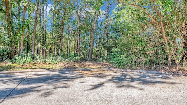 901 Longmire Rd, Conroe TX, 77304 land for sale