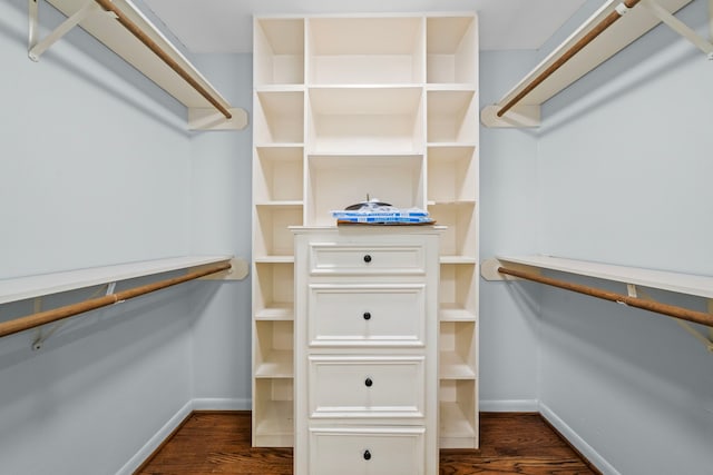 spacious closet featuring dark wood-type flooring