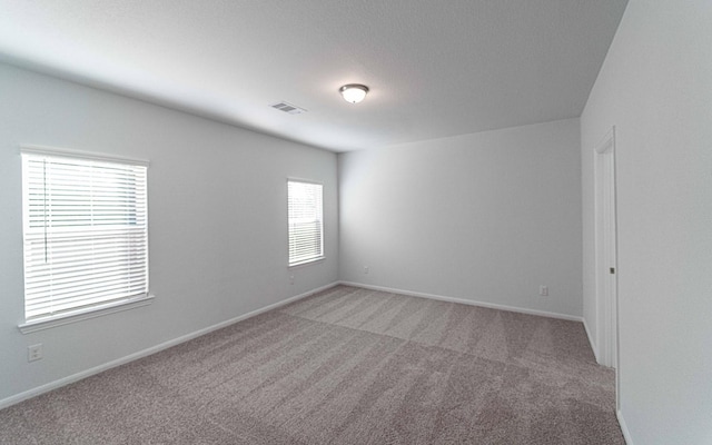 carpeted empty room with a wealth of natural light