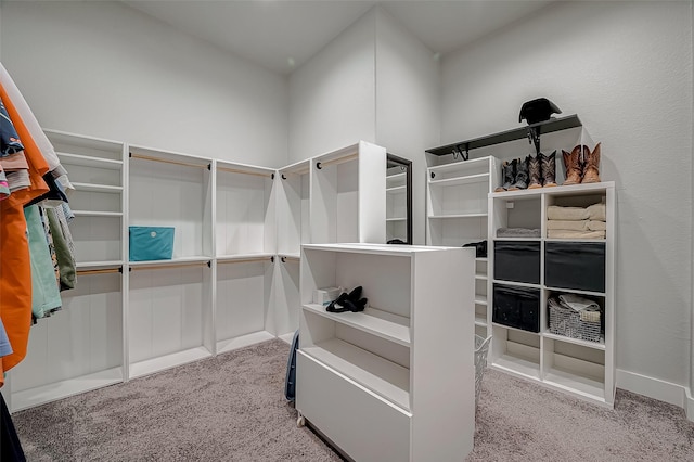 walk in closet with carpet floors