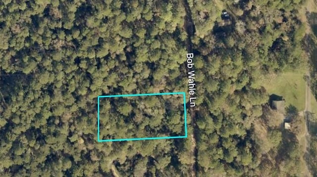 0 Bob Wahle Ln, Coldspring TX, 77331 land for sale