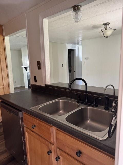 kitchen featuring stainless steel dishwasher and sink