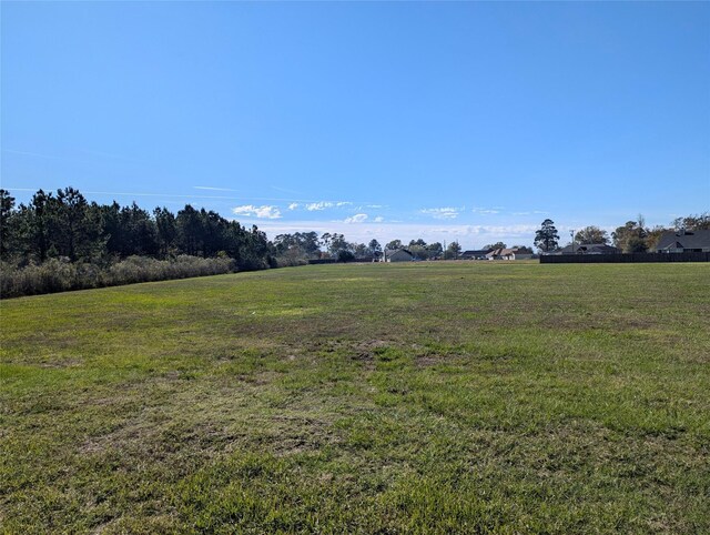 6240 Fm-3126, Livingston, TX 77351 - photo 3