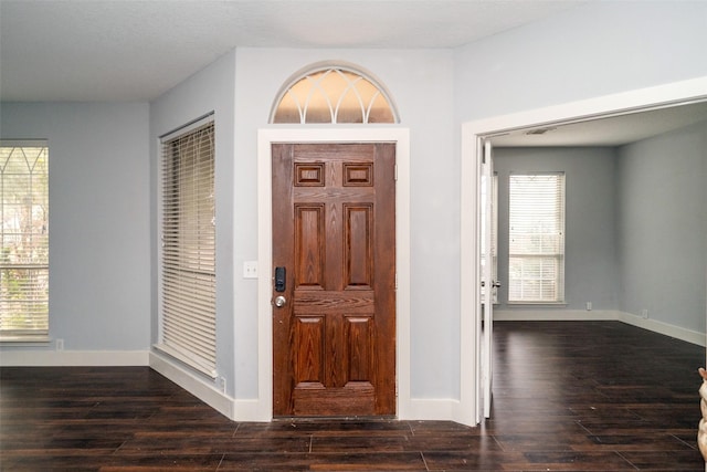 entryway featuring dark wood-type flooring and a wealth of natural light