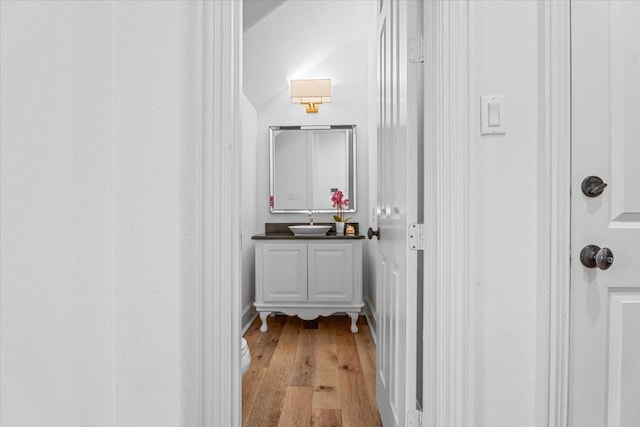 bathroom with hardwood / wood-style floors and vanity