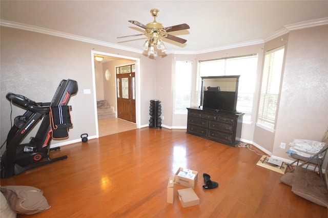 exercise area featuring plenty of natural light, hardwood / wood-style floors, and ornamental molding