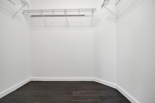 spacious closet with dark wood-type flooring