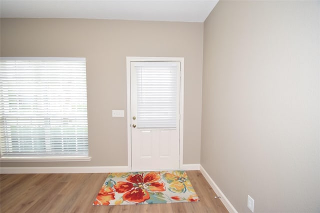 entryway featuring wood-type flooring