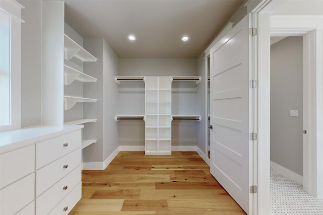 walk in closet with light hardwood / wood-style floors