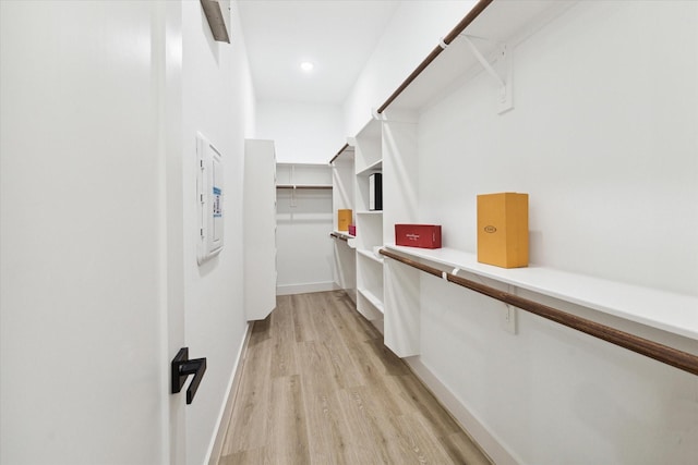 spacious closet featuring electric panel and light hardwood / wood-style flooring