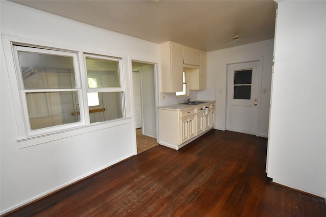 kitchen featuring sink and dark hardwood / wood-style floors