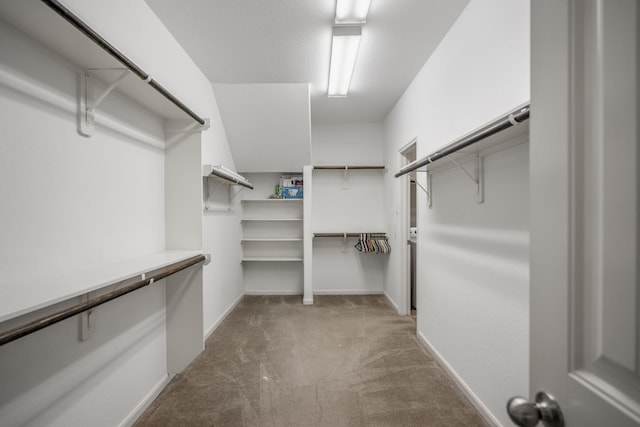 spacious closet with carpet flooring