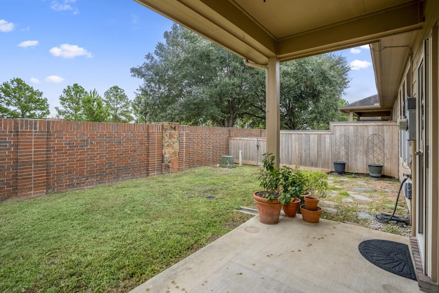 view of yard with a patio area