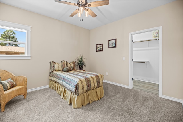 carpeted bedroom with ceiling fan, a closet, and a spacious closet