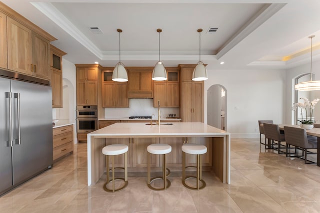 kitchen featuring pendant lighting, a tray ceiling, stainless steel appliances, and a center island with sink