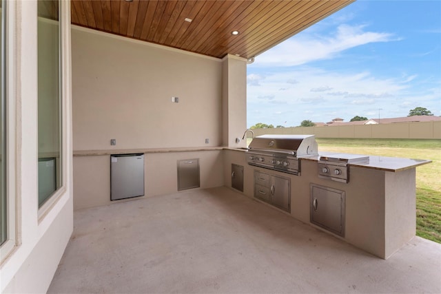 view of patio / terrace with grilling area and area for grilling