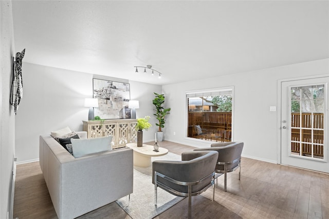 living room featuring hardwood / wood-style floors and a healthy amount of sunlight