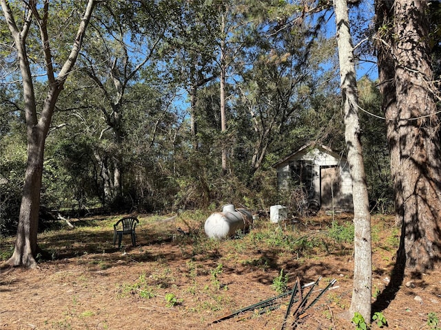 view of yard with a shed