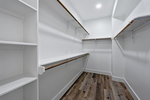 spacious closet with dark wood-type flooring