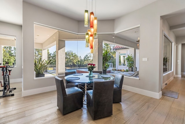 dining area with light hardwood / wood-style floors