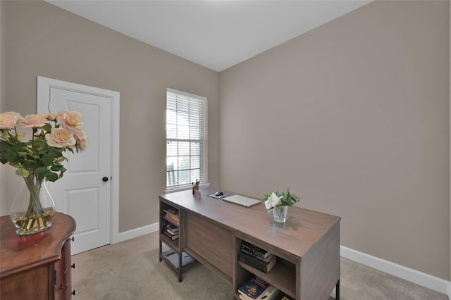 office featuring light colored carpet