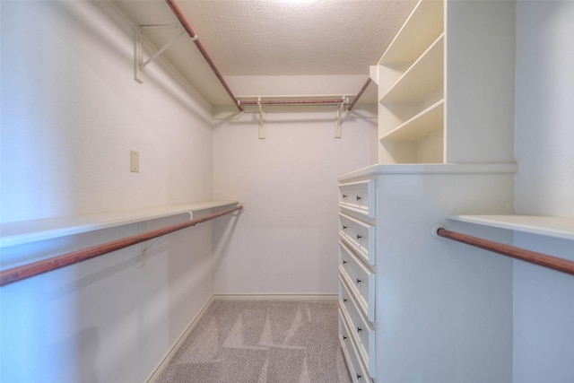 spacious closet with light carpet