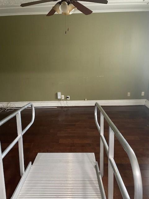 laundry area with dark hardwood / wood-style floors and ornamental molding