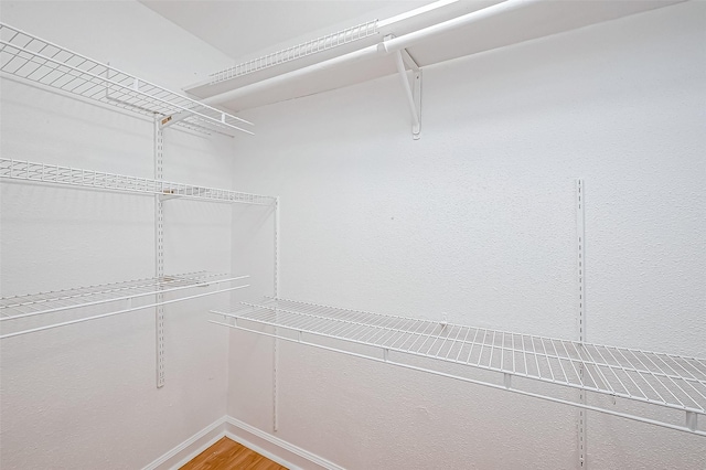 walk in closet with wood-type flooring