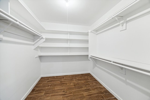 walk in closet featuring dark hardwood / wood-style floors